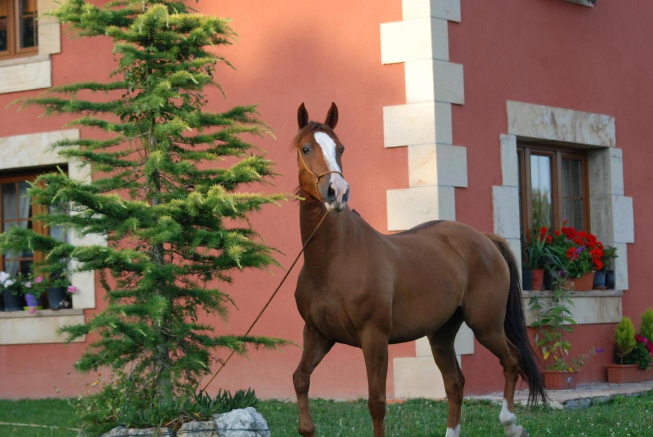 Casucas La Guariza Villa Fontibre Buitenkant foto
